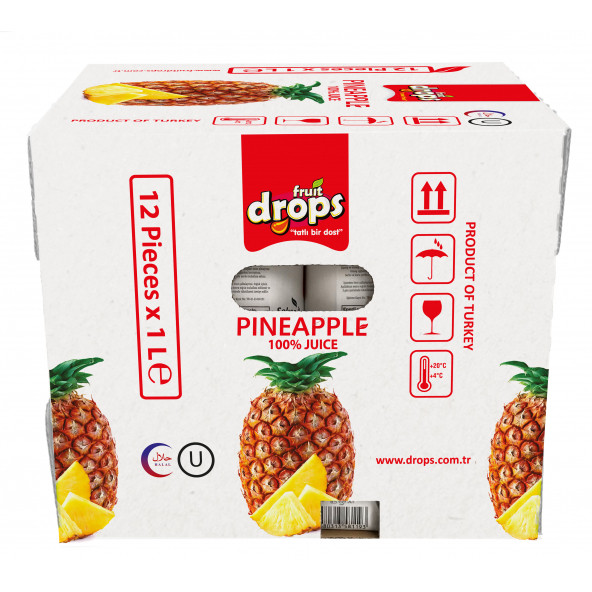 %100 Ananas Suyu, 1 L, 12 adet - 1