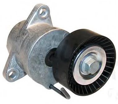 Opel İnsignia Alternatör Gergisi Komple (2009-2017) 2.0 CDTI 55562864 ürün görseli 1