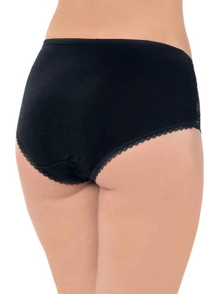 LÜX DRM 2503 Kadın Pamuklu Dantelli Likralı Bato Slip Külot - 2