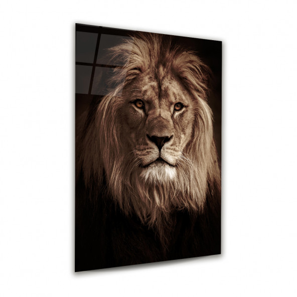 Glass Art Concept Aslan 50x70 Cm Cam Tablo - 3