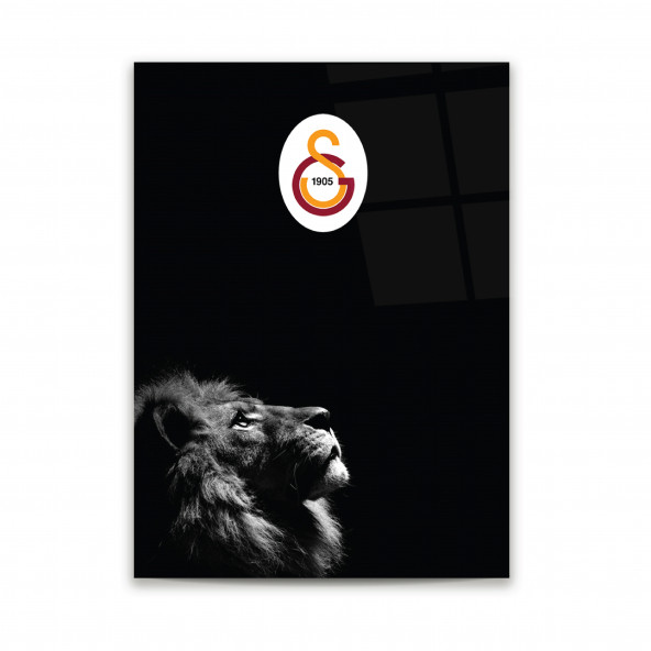 Glass Art Concept Galatasaray 50x70 Cm Cam Tablo