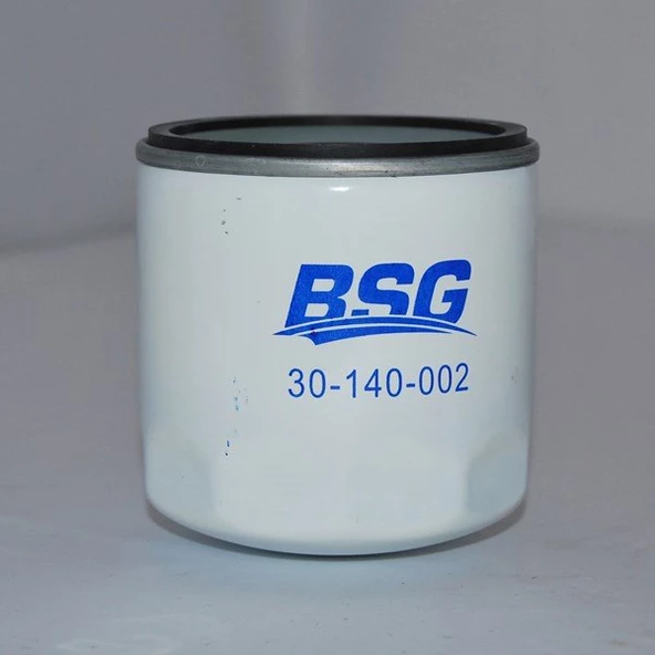 Focus Mazot Filitresi (1998-2004) 1.8 L TDCI 2T149B072B ürün görseli