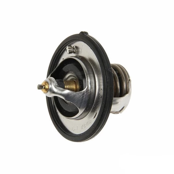Nissan Juke Termostat (2010-2018) 1.6 255002B000