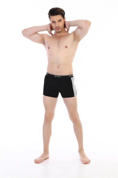 Çift Kaplan 850 Erkek Biyeli Elastanlı Boxer - 11