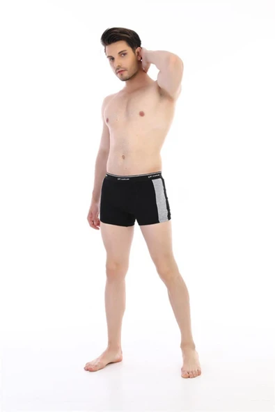 Çift Kaplan 850 Erkek Biyeli Elastanlı Boxer - 10