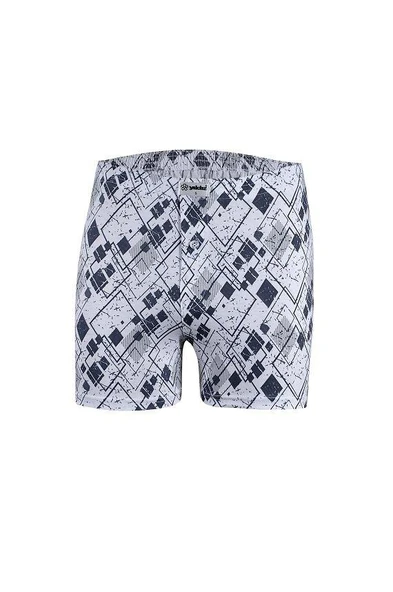 Yıldız 35 Emprime Pamuklu Penye Desenli Erkek Boxer 1 Adet - 3