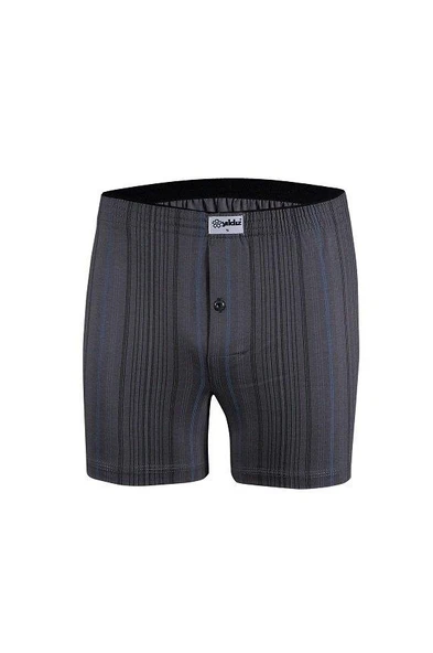 Yıldız 43 Erkek %100 Pamuklu Havlu Bel Çizgili Rahat Boxer - 2