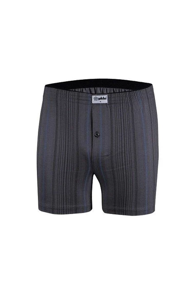 Yıldız 43 Desenli Boxer - 2