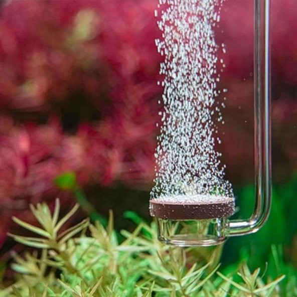 Aquario Neo Co2 Diffuser Normal Original L - 2