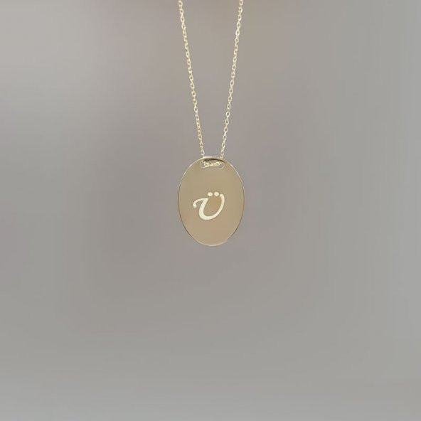 14 Ayar Altın Oval Plaka Kolye - Resim 6