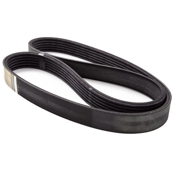 Focus Vantilatör Kayişi (2012-2019) 1.6 L DURATEC Tİ-VCT  AM5Q6C301EA ürün görseli