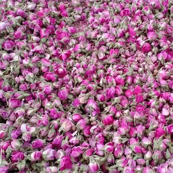 Tomurcuk Gül Kurusu (Rosa Gallica L.) 100 gr, Derya Eren - 3