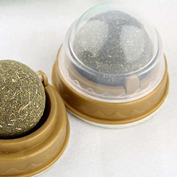 Kedi Nanesi Oyun Topu - 2