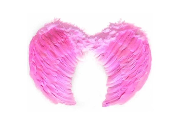 Melek Kanadı Büyük Boy  - Pembe - 4