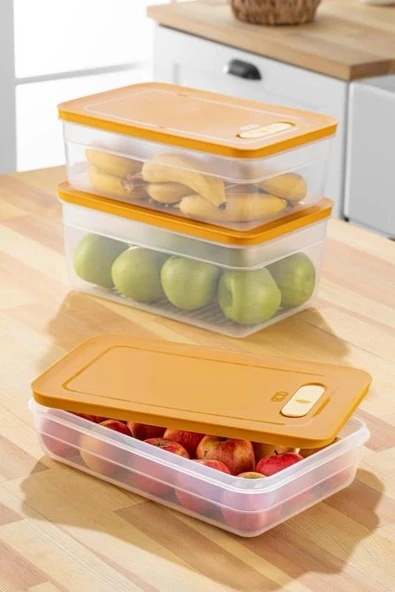 Tupper Model - Vakumlu - Mikrodalga Buzluk Saklama Kabı 3,8LT ürün görseli