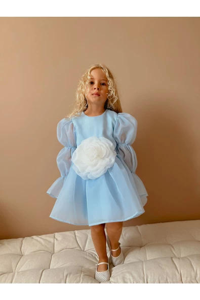 Rose Şifon Kız Çocuk Parti Elbisesi - 4
