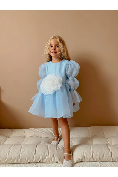 Rose Şifon Kız Çocuk Parti Elbisesi
