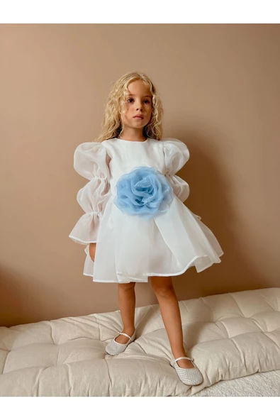 Rose Şifon Kız Çocuk Parti Elbisesi - 8