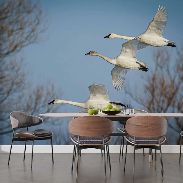 Leylek Göç Manzaralı Duvar Kağıdı - Resim 5