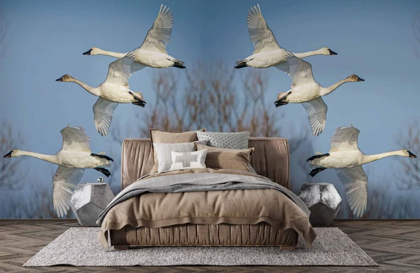 Leylek Göç Manzaralı Duvar Kağıdı - Resim 2