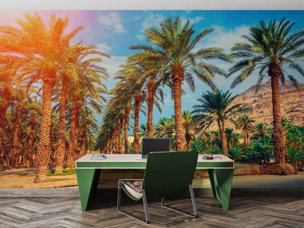 Hindistan Cevizi Ağaç Manzaralı Duvar Kağıdı - Resim 4