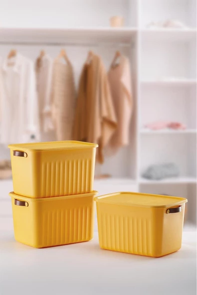 Boxsıs 3 Adet 15 Lt  Düzenleyici Kapaklı Kutu Storage Dekoratif Dolap İçi Organizer - 2