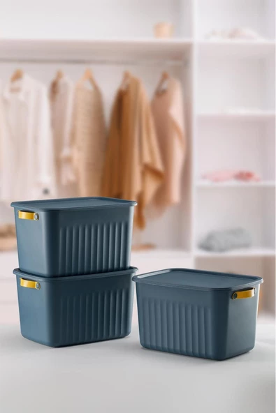 Boxsıs 3 Adet Mavi 15 Lt  Düzenleyici Kapaklı Kutu Storage Dekoratif Dolap İçi Organizer - 2