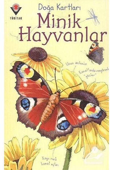Tübitak Yayınları Doğa Kartları / Minik Hayvanlar