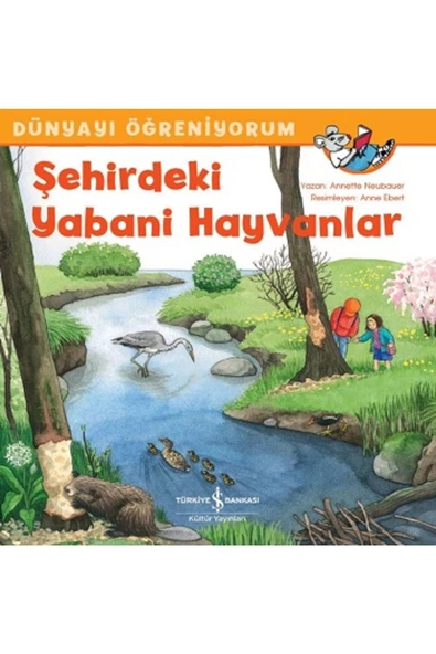 TÜRKİYE İŞ BANKASI KÜLTÜR YAYINLARI Şehirdeki Yabani Hayvanlar - Dünyayı Öğreniyorum