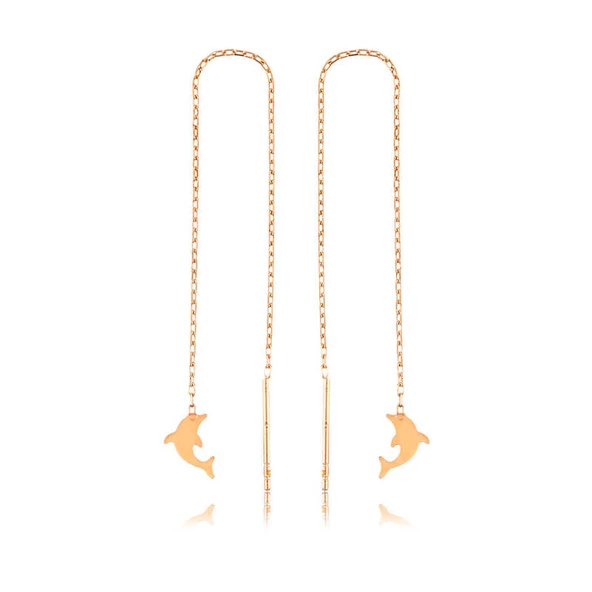 Gümüş Zincirli Yunus Balığı Küpe SL2880 ürün görseli