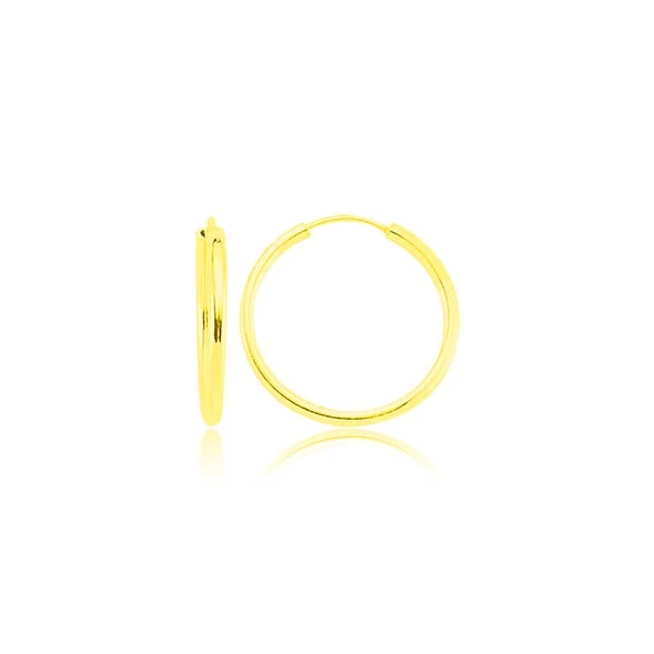 ​Gümüş Altın Kaplama Halka Küpe SL3524 ürün görseli