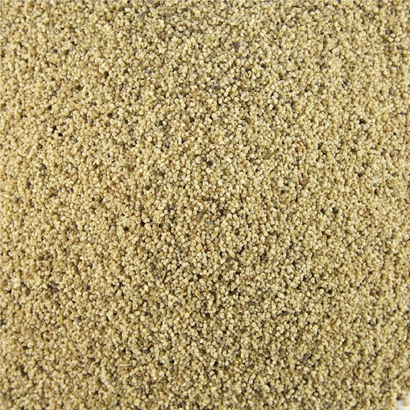 Haşhaş Tohumu Beyaz Haş haş 1 kg, Derya Eren - Resim 3