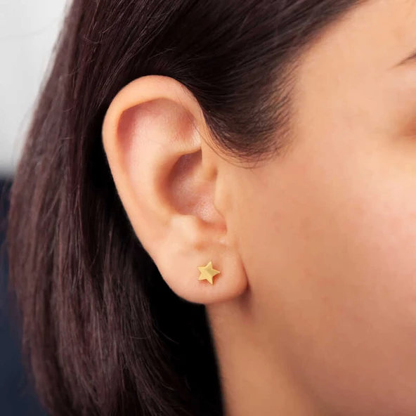 Gümüş Gold Yıldız Çivili Kadın Küpe SL5280 ürün görseli