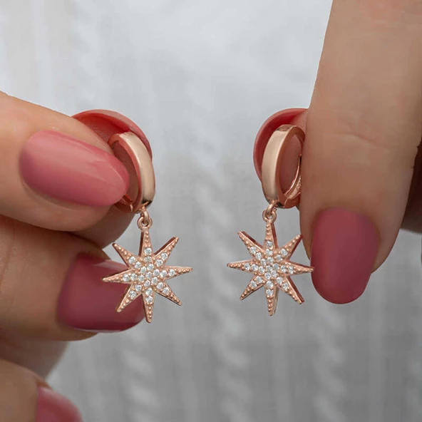 Gümüş Rose Sallantılı Kutup Yıldızı Kadın Küpe  SL6594 - Resim 2