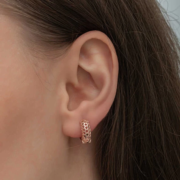 Gümüş Rose Petek Desenli Halka Kadın Küpe SL6603 - Resim 4