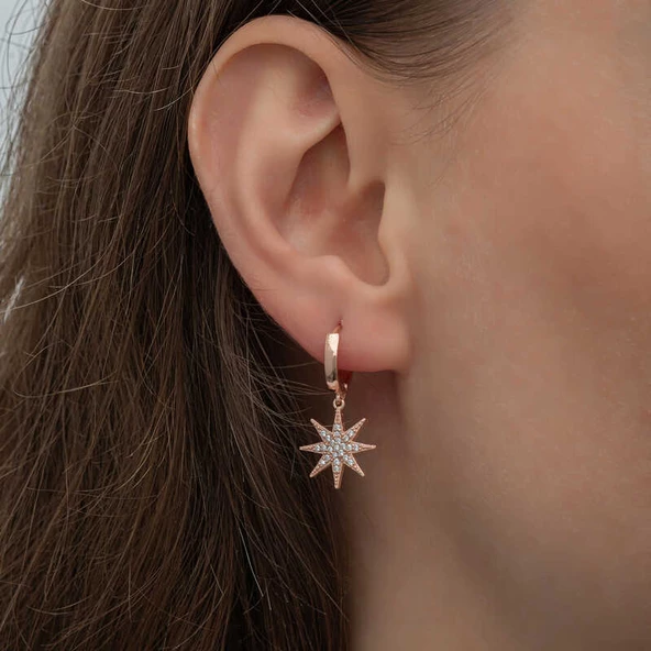 Gümüş Rose Sallantılı Kutup Yıldızı Kadın Küpe  SL6594 - Resim 6