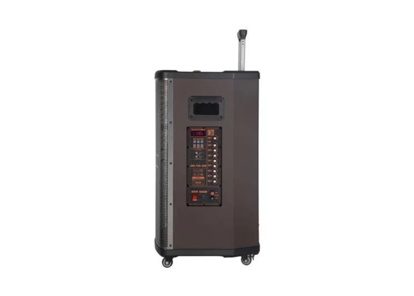 Platoon PL-4608 RGB Işıklı USB/TF/FM/BT/TWS Kablosuz Mikrofonlu Öğretmen/Toplantı Anfisi (NDR-515) - 4