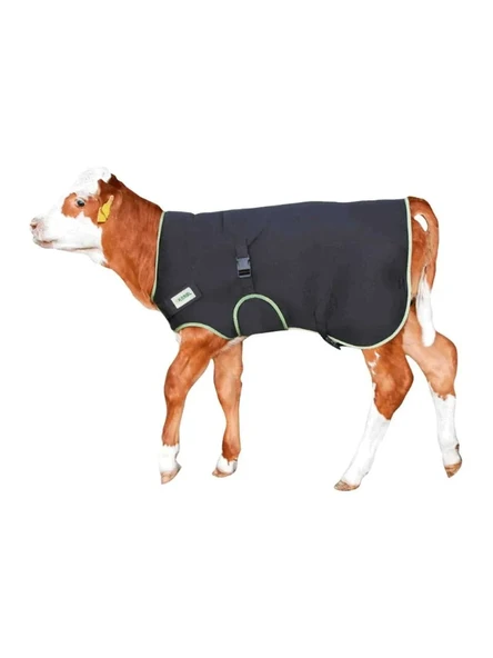 Buzağı Battaniyesi Premium ürün görseli