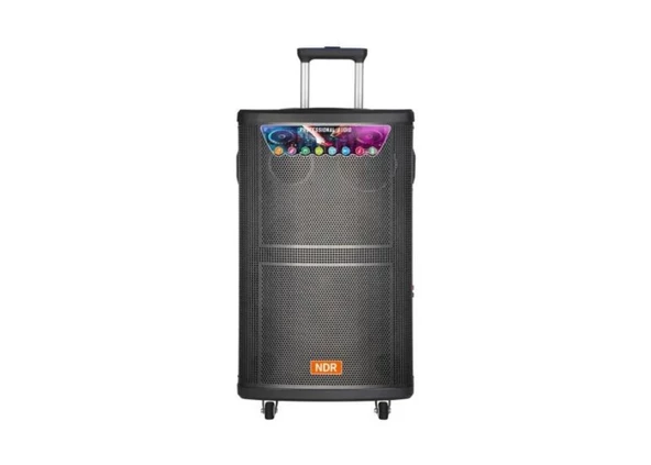 Platoon PL-4608 RGB Işıklı USB/TF/FM/BT/TWS Kablosuz Mikrofonlu Öğretmen/Toplantı Anfisi (NDR-515) - 3