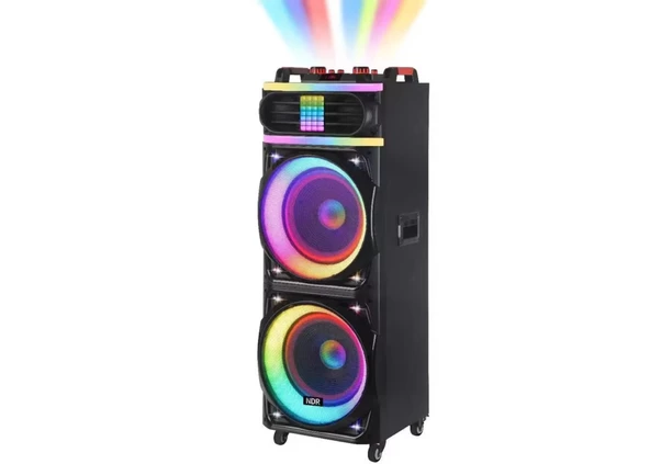 Platoon PL-4609 RGB Işıklı USB/TF/FM/BT/TWS Kablosuz Mikrofonlu Öğretmen/Toplantı Anfisi (NDR-1226) - 5