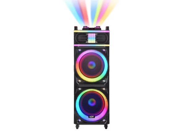 Platoon PL-4609 RGB Işıklı USB/TF/FM/BT/TWS Kablosuz Mikrofonlu Öğretmen/Toplantı Anfisi (NDR-1226) - 4