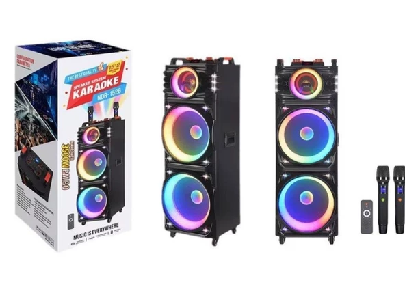 Platoon PL-4611 200W RGB Işıklı USB/TF/FM/BT/TWS Kablosuz Mikrofonlu Öğretmen/Toplantı Anfisi (NDR-7022)