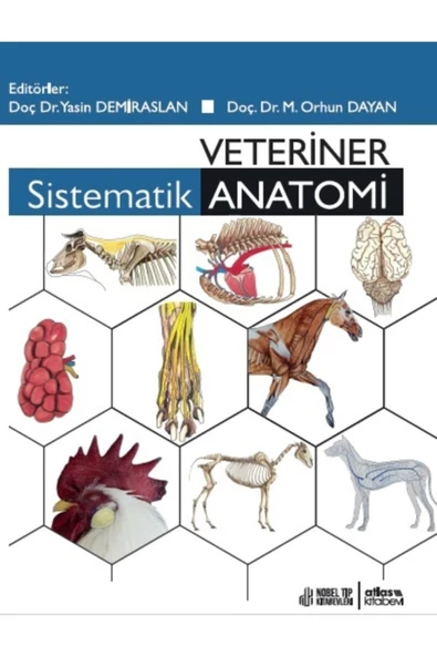 Veteriner Sistematik Anatomi