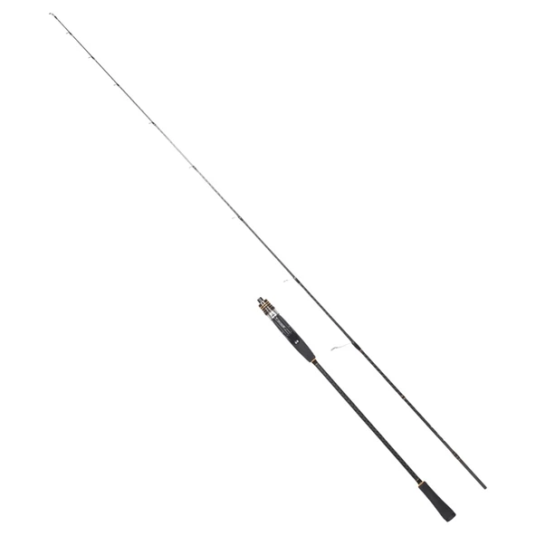 Ryuji Teton Fuji 180 cm 20-60 gr Light Jig Kamış