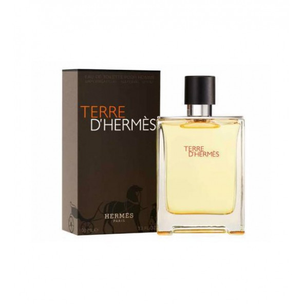 Hermes Terre D Hermes Edt 100 Ml