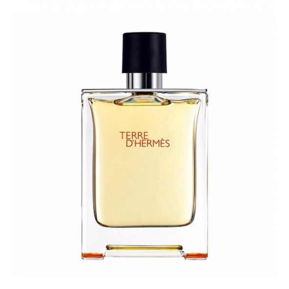 Hermes Terre D Hermes Edt 100 Ml - 2