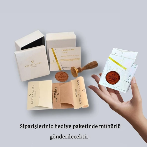 Luck Serisi Flower Dört Tektaş Yonca Model Gümüş Kadın Kolye - Resim 4