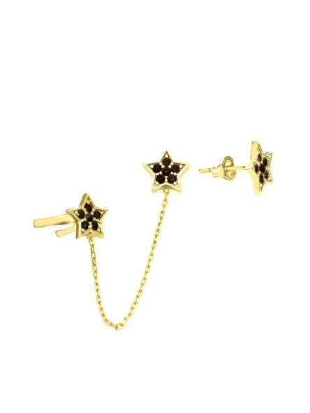 Gümüş Yıldız Kıkırdak Sallantılı Kadın Küpe ürün görseli