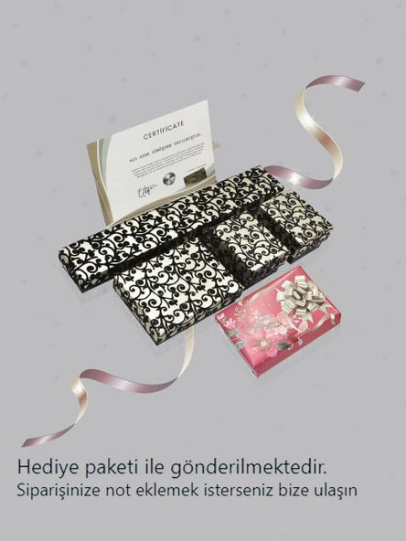 Zirkon Taşlı Kar Tanesi Kadın Gümüş Küpe - 2