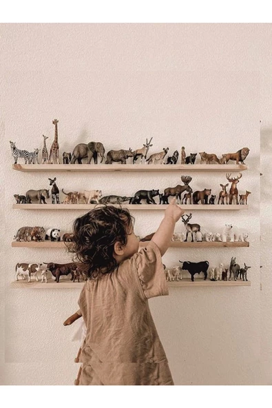 Zoo Doğal Masif Ahşap Montessori Raf - 1